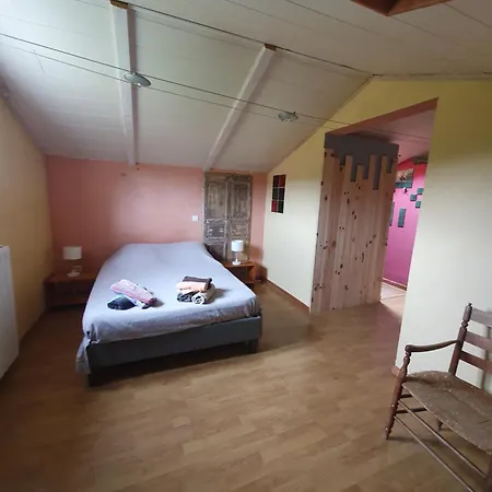 E Di U Puntale ギソナクシア