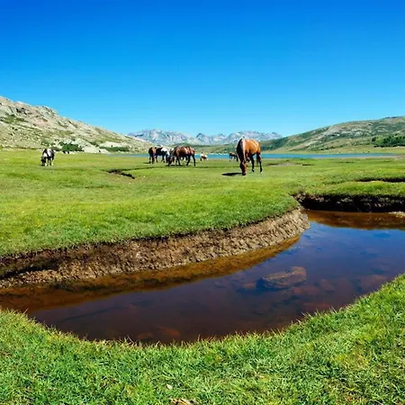 ヴィラ E Di U Puntale ギソナクシア