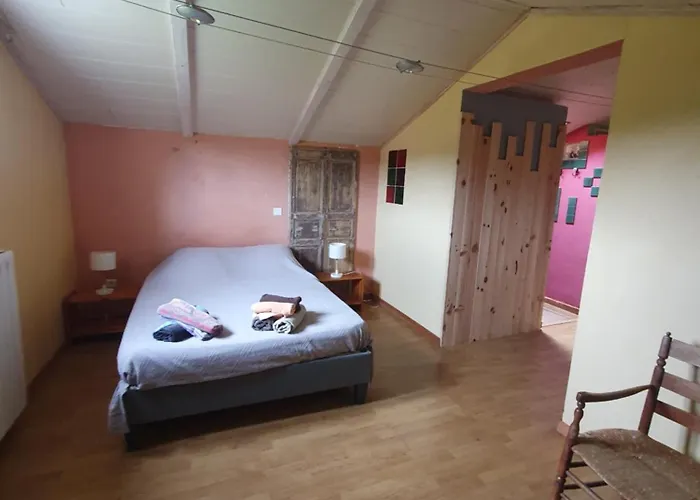 E Di U Puntale ギソナクシア