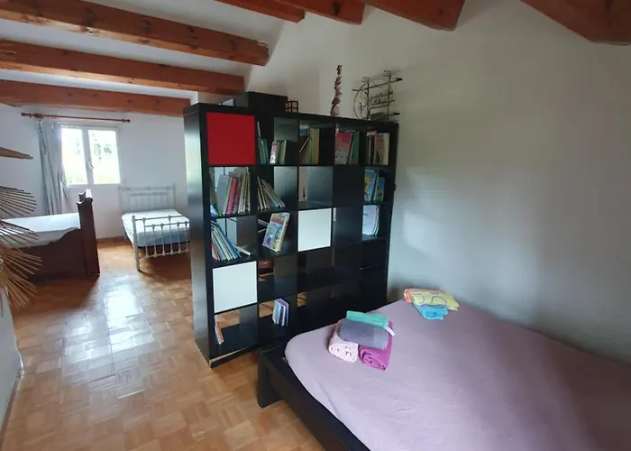 E Di U Puntale * ギソナクシア