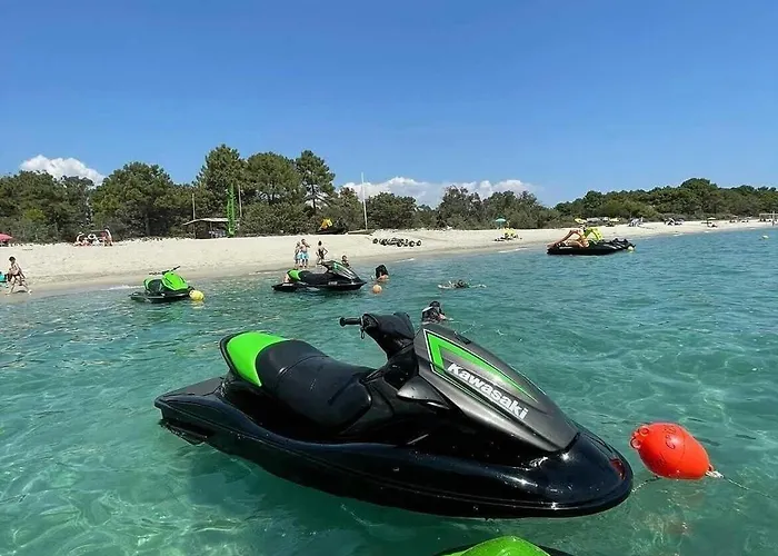 E Di U Puntale ギソナクシア