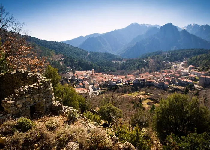 E Di U Puntale * ギソナクシア