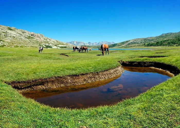Villa E Di U Puntale Ghisonaccia